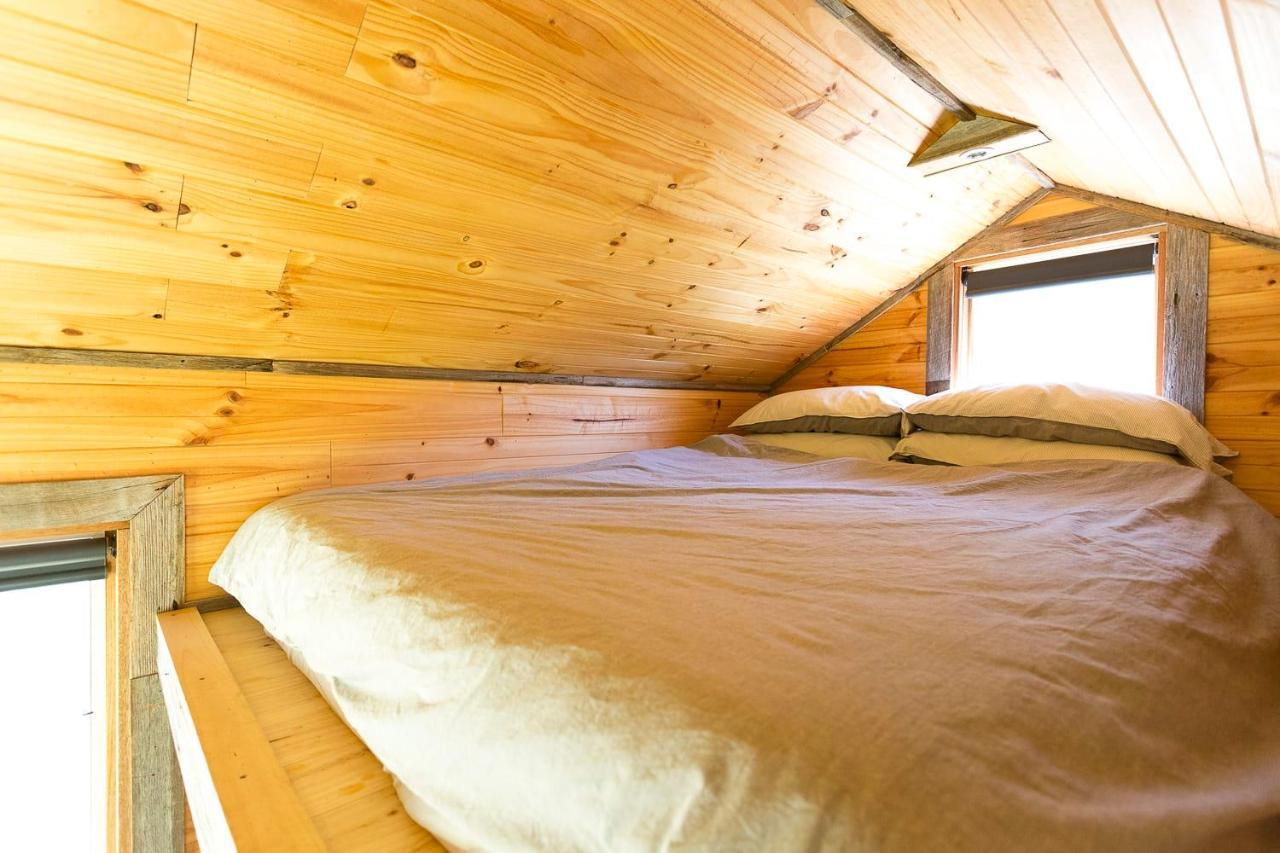 Ardingly Tiny House Villa Newham Ngoại thất bức ảnh