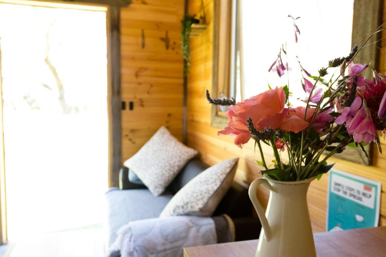 Ardingly Tiny House Villa Newham Ngoại thất bức ảnh