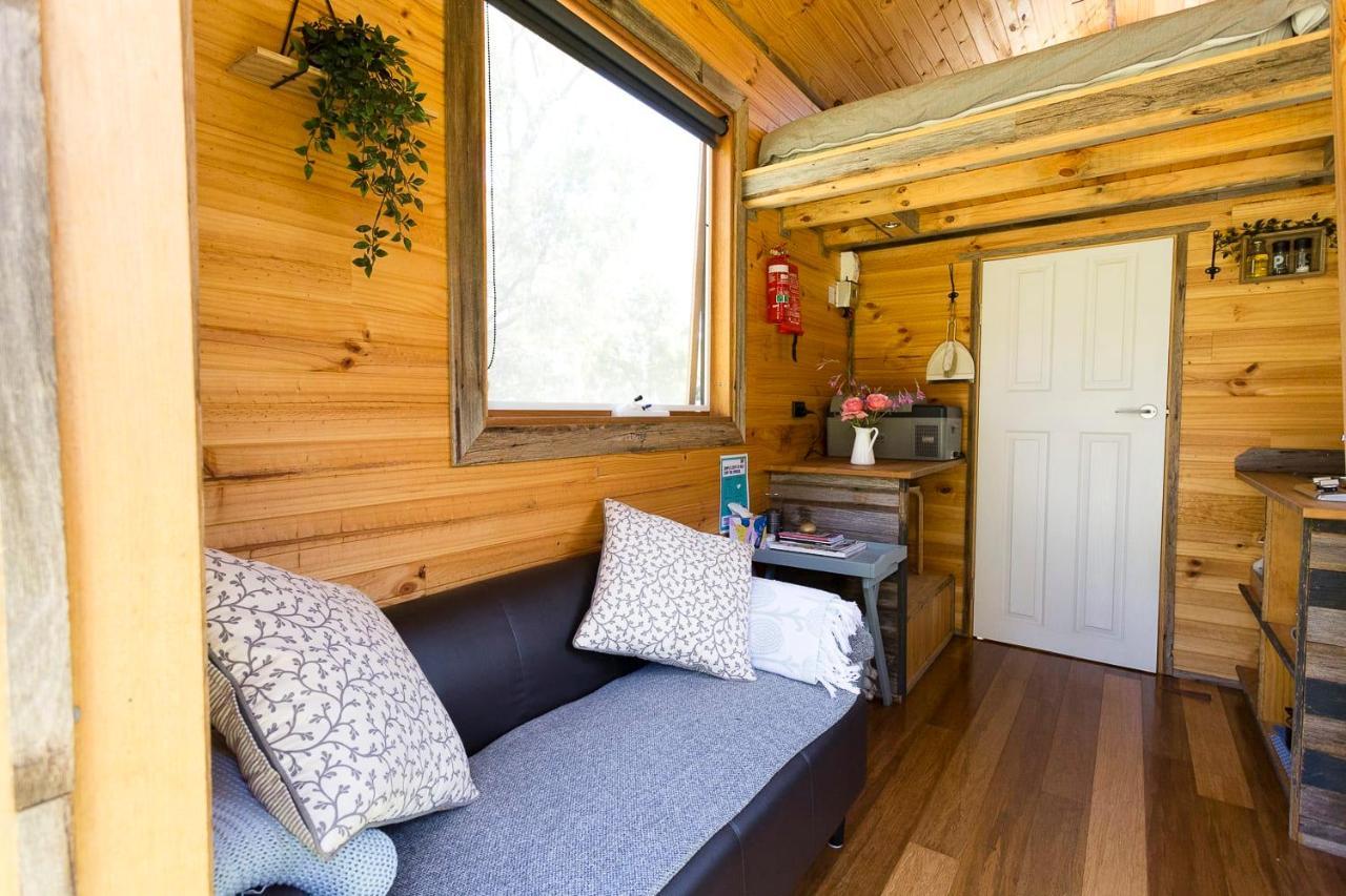 Ardingly Tiny House Villa Newham Ngoại thất bức ảnh