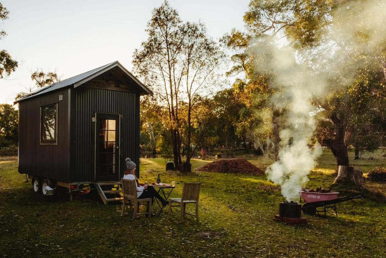 Ardingly Tiny House Villa Newham Ngoại thất bức ảnh